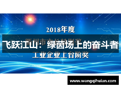 飞跃江山：绿茵场上的奋斗者